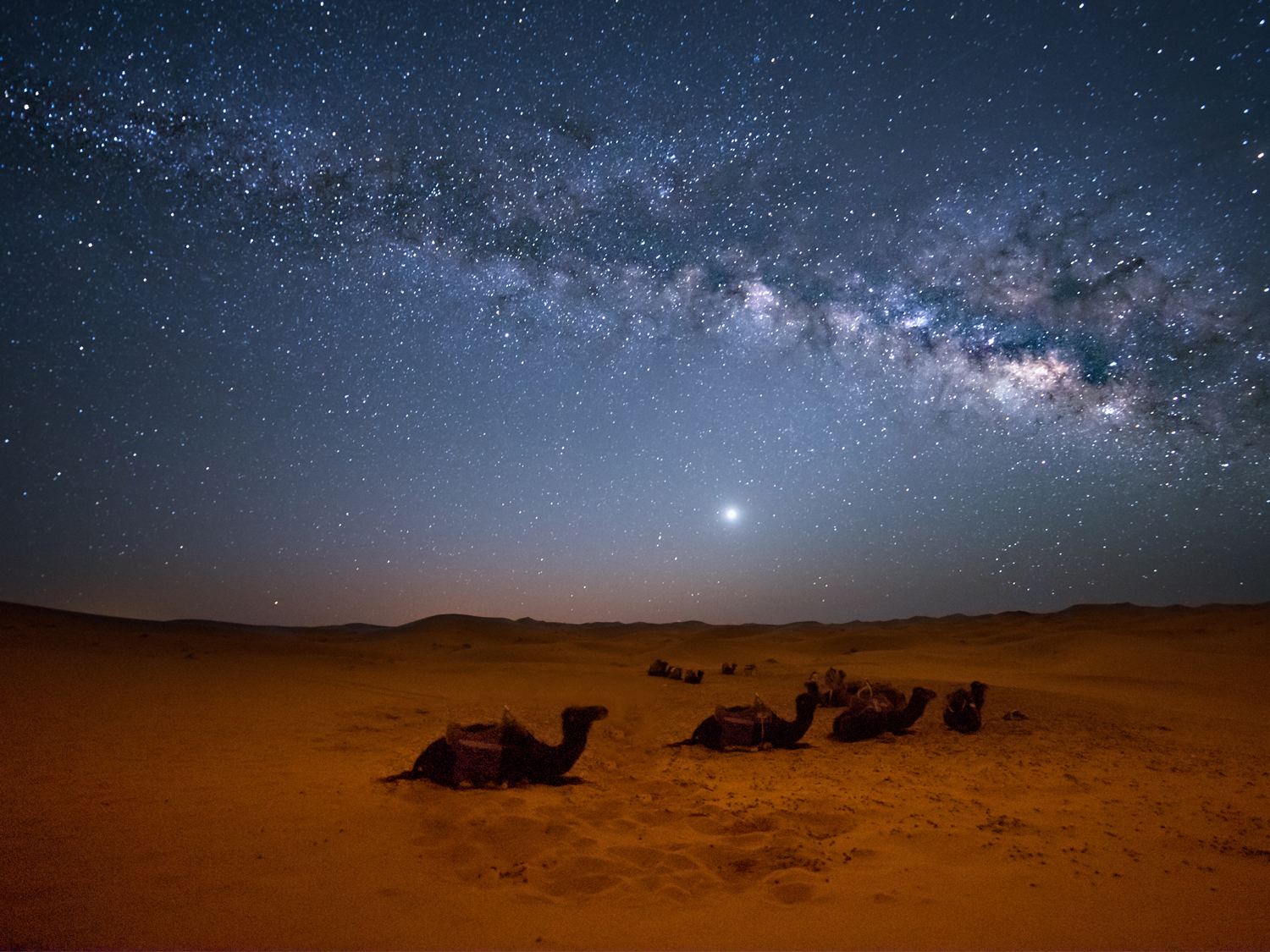 Milky Way over desert dunes with camels in the foreground